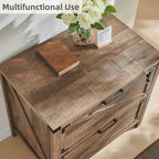 Farmhouse 2 Drawer File Cabinet, Lateral Filing Cabinet with Lock