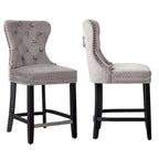 Carter 24 Wingback Tufted Nailhead Counter Stool (Set of 2)