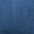 Balmforth Nailhead Velvet Upholstered Dining Chairs (Set of 2) by iNSPIRE Q Classic