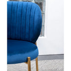 Roundhill Furniture Amoa Contemporary Velvet Upholstery Dining Chair