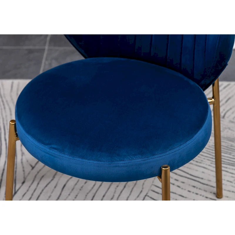 Roundhill Furniture Amoa Contemporary Velvet Upholstery Dining Chair