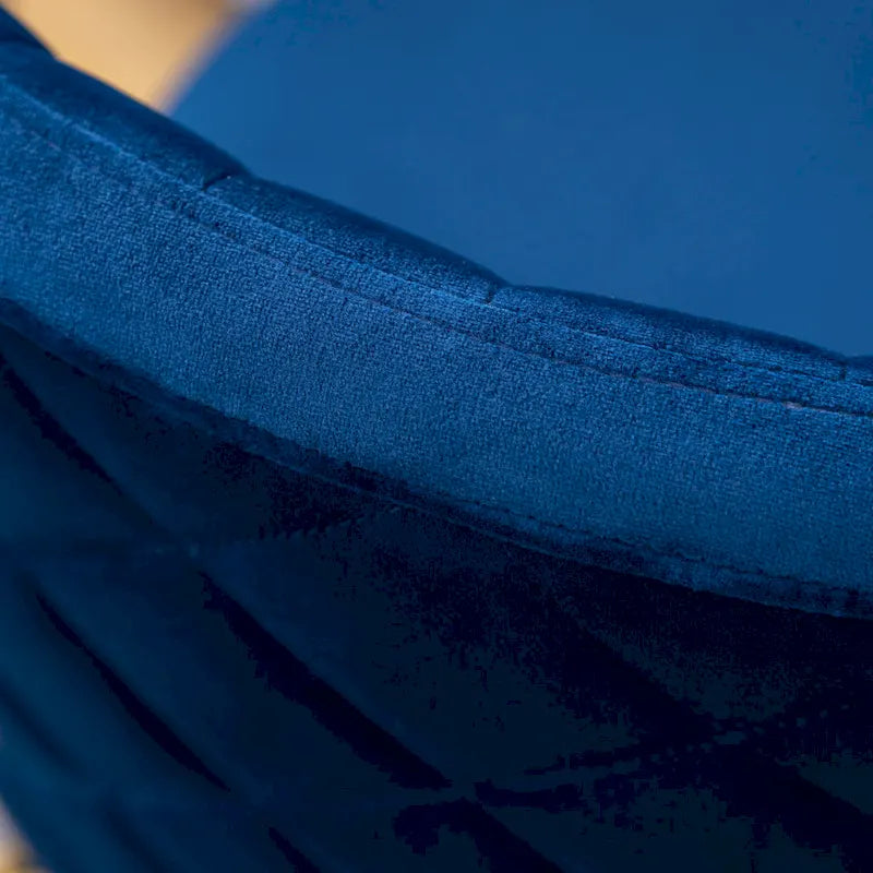 Roundhill Furniture Amoa Contemporary Velvet Upholstery Dining Chair